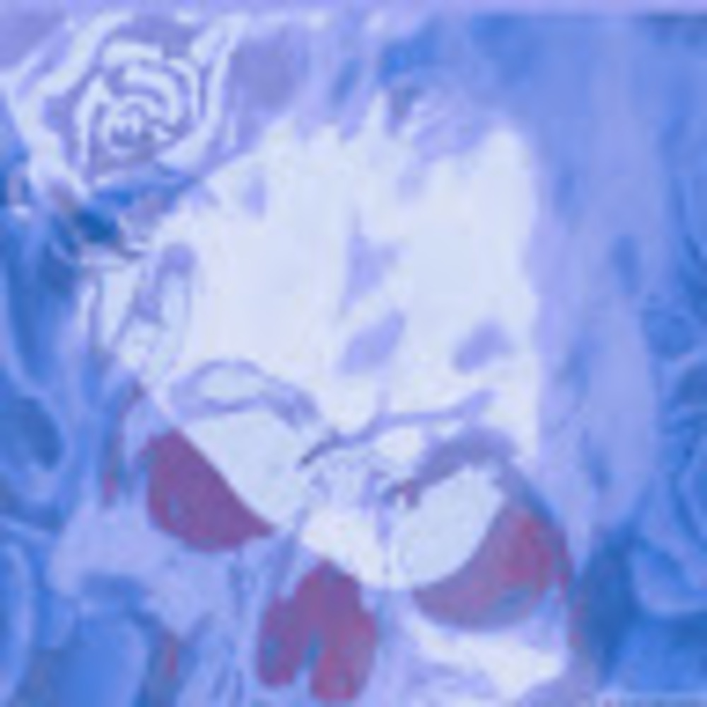 Meet your Posher, Cora